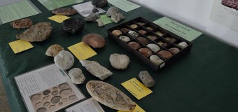 “L’Uomo e i minerali – dalla Selce all’Uranio” in mostra a Montegrillo